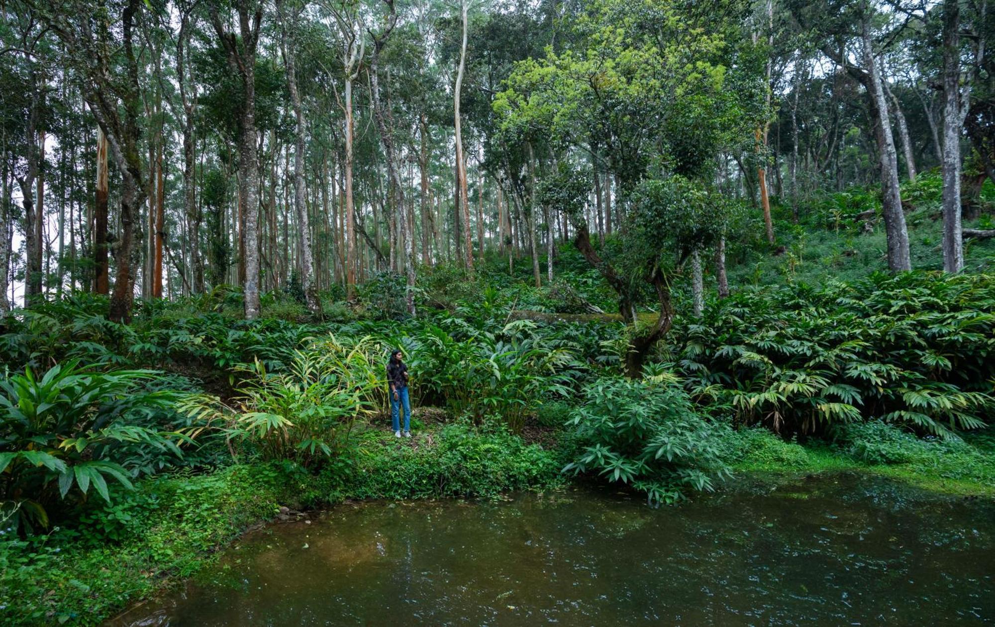 Fort Munnar Chinnakanal Exterior photo
